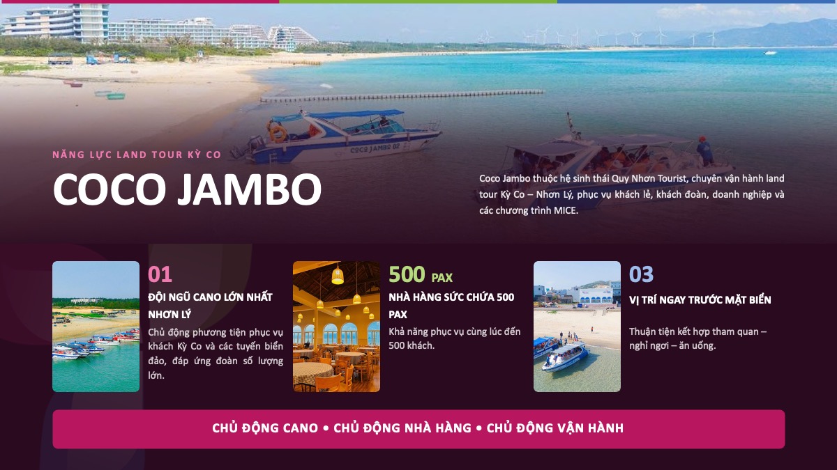 Hồ sơ năng lực Quy Nhơn Tourist - Công ty du lịch uy tín Quy Nhơn
