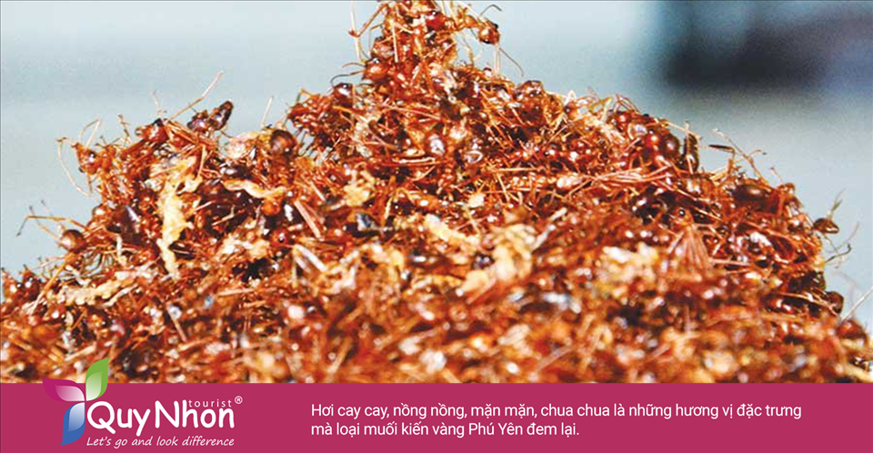Hơi cay cay, nồng nồng, mặn mặn, chua chua là những hương vị đặc trưng mà loại muối kiến vàng Phú Yên đem lại.