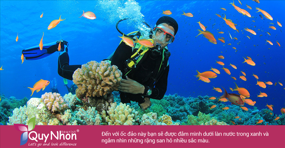 Du lịch Cù Lao Xanh tự túc bạn không thể bỏ qua cảm giác được đắm mình dưới làn nước trong xanh và ngắm nhìn những rặng san hô nhiều sắc màu.