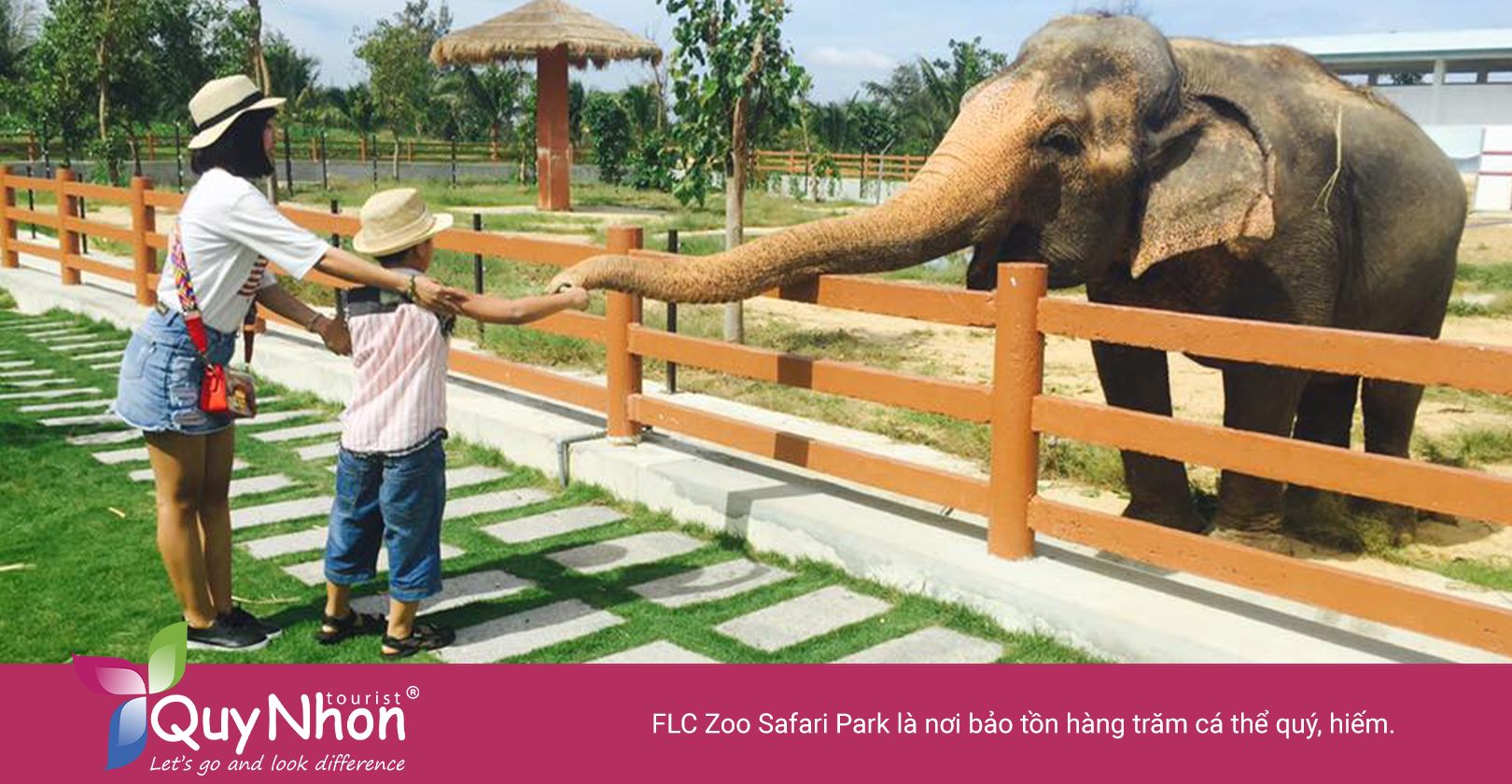 FLC Zoo Safari Park - điểm tham quan mà các bố mẹ nên đưa con đến khám phá.