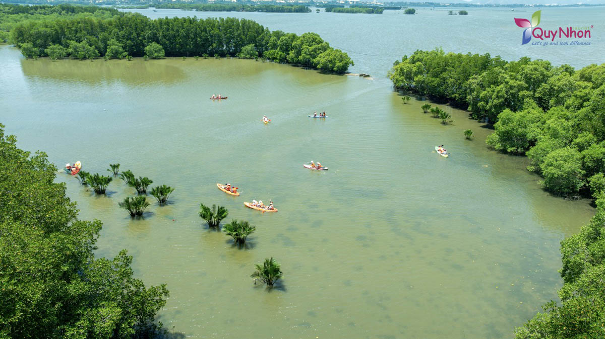 Công ty Visenlex tham quan Quy Nhơn - Gia Lai - Quynhontourist