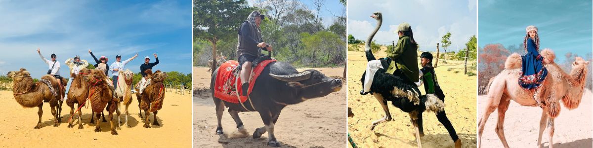 Bàu Trắng - Tour Quy Nhơn - Mũi Né - Vịnh Vĩnh Hy 3 ngày 2 đêm - Quynhontourist