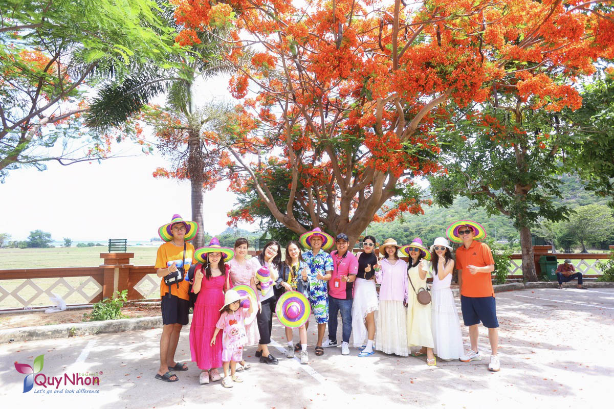 Tour Team building Vĩnh Hy - Ninh Chữ - Nic Group - Quy Nhơn Tourist