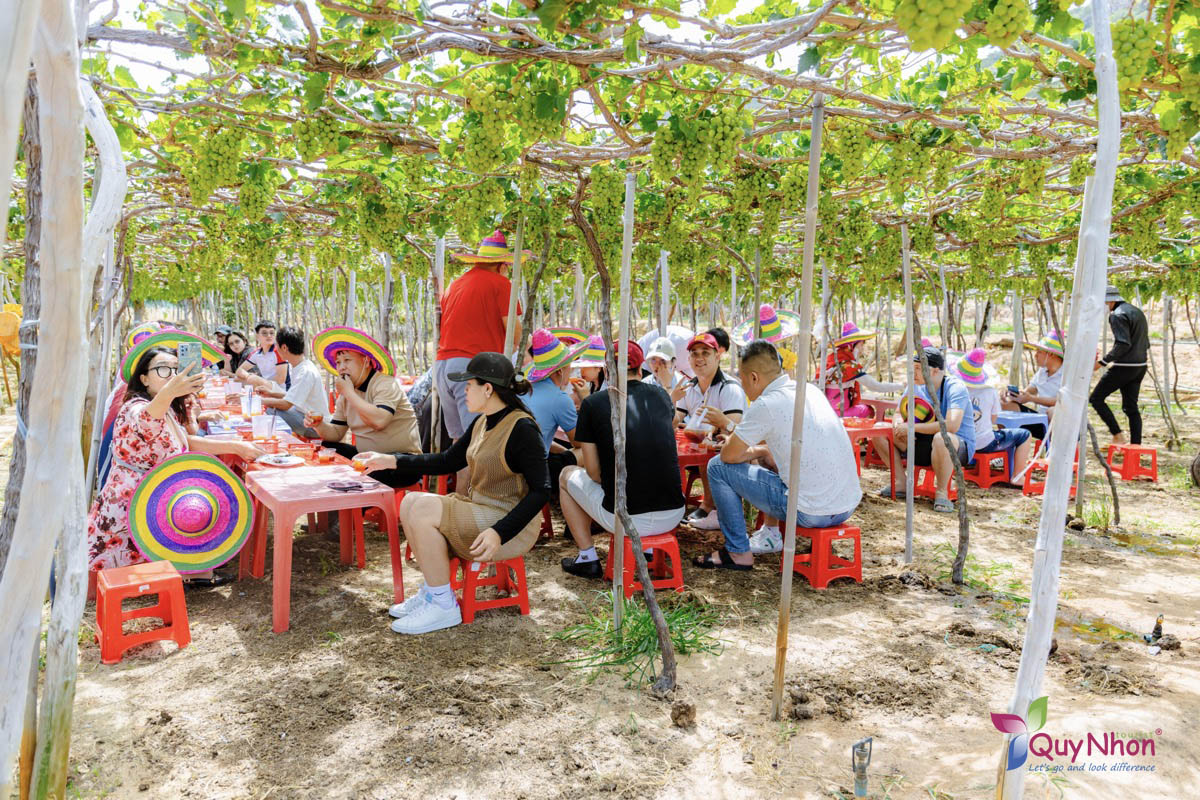 Trường Đại học Công nghệ Miền Đông - Tour Ninh Chữ - Vịnh Vĩnh Hy - Tanyoli - Quy Nhơn Tourist