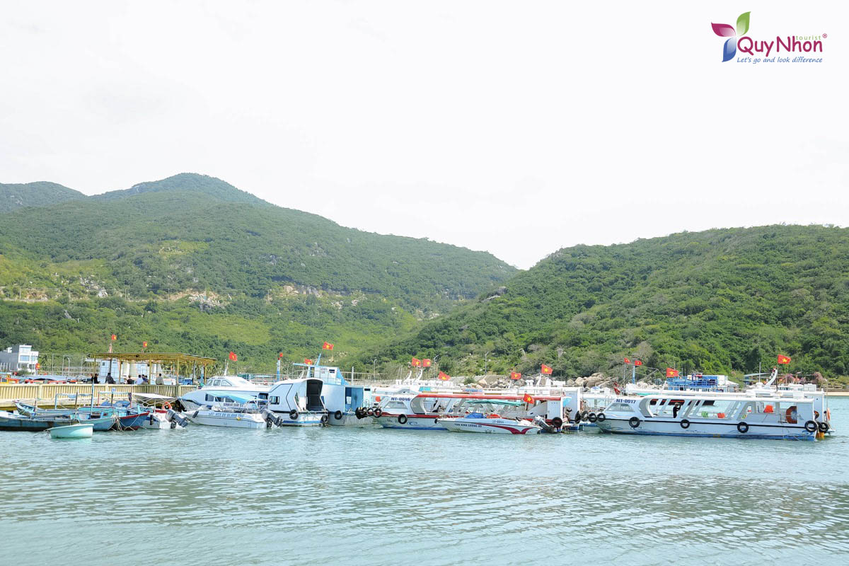 Trường Đại học Công nghệ Miền Đông - Tour Ninh Chữ - Vịnh Vĩnh Hy - Tanyoli - Quy Nhơn Tourist