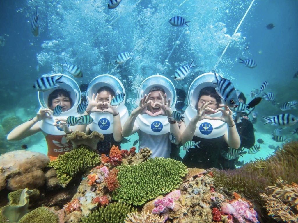 Tour đi bộ dưới đáy biển Quy Nhơn – Lặn ngắm san hô nửa ngày: Khám phá đại dương kỳ vĩ