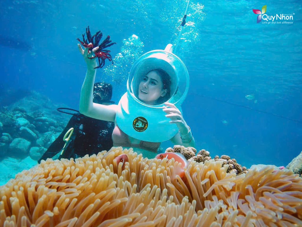 Tour đi bộ dưới đáy biển Quy Nhơn - Lặn san hô - Quy Nhơn Tourist