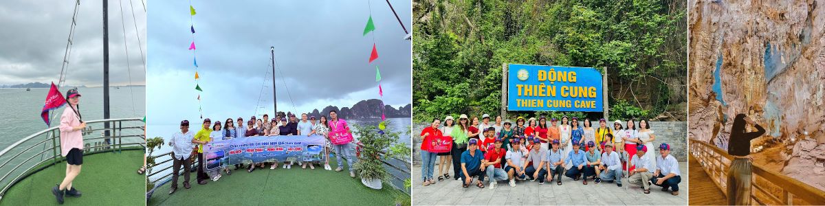 Check in Vịnh Hạ Long - Quy Nhơn Tourist