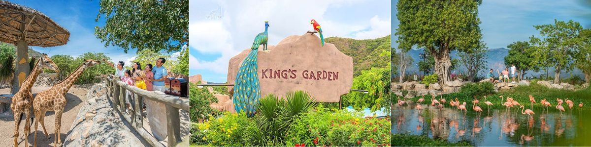 King Garden - vuon thu vinwonders Nha Trang - Quy Nhon Tourist