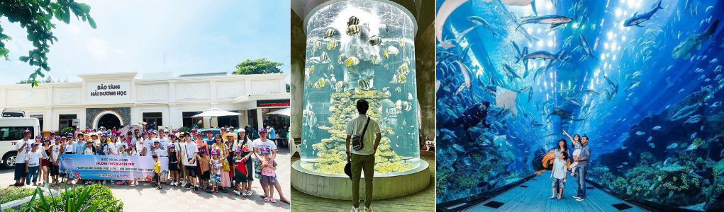 Viện Hải Dương Học Nha Trang - Tour Quy Nhơn Nha Trang 3n2d - quynhontourist