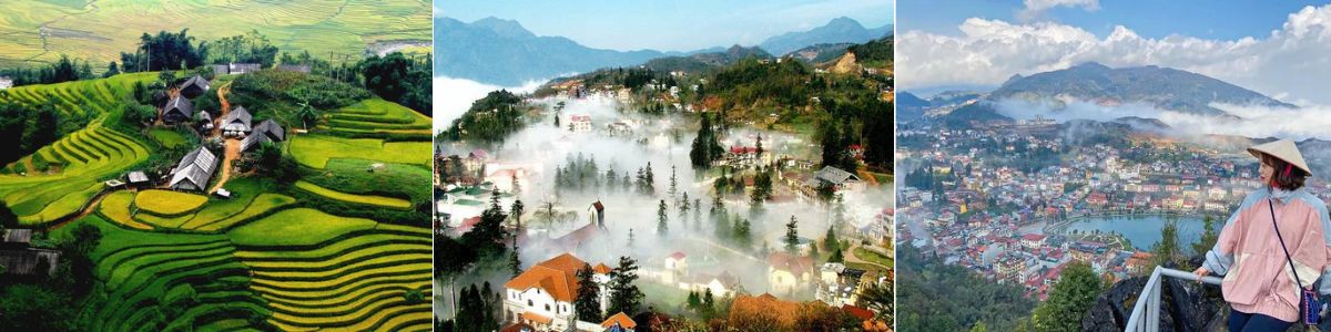 Du lịch Quy Nhơn Sapa - Quynhontourist